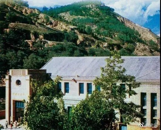 1619615808193032726.jpg 7.jpg